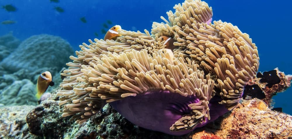 Global Residence - View 21