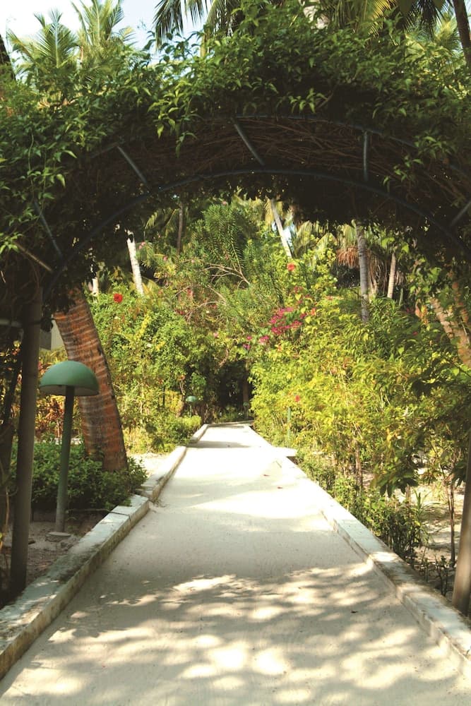 Biyadhoo Island Resort - View 20