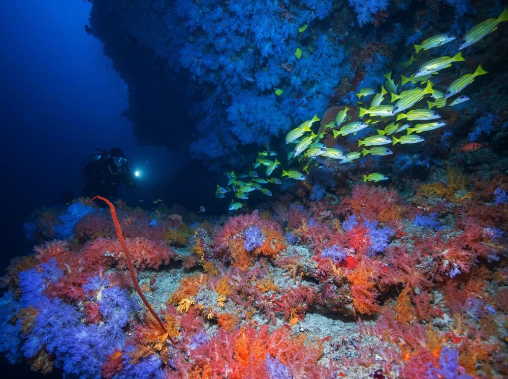 BB Island House Dhigurah - View 29