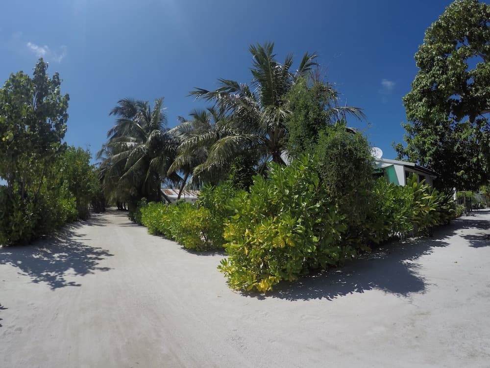 Ithaa Beach Maldives - View 53