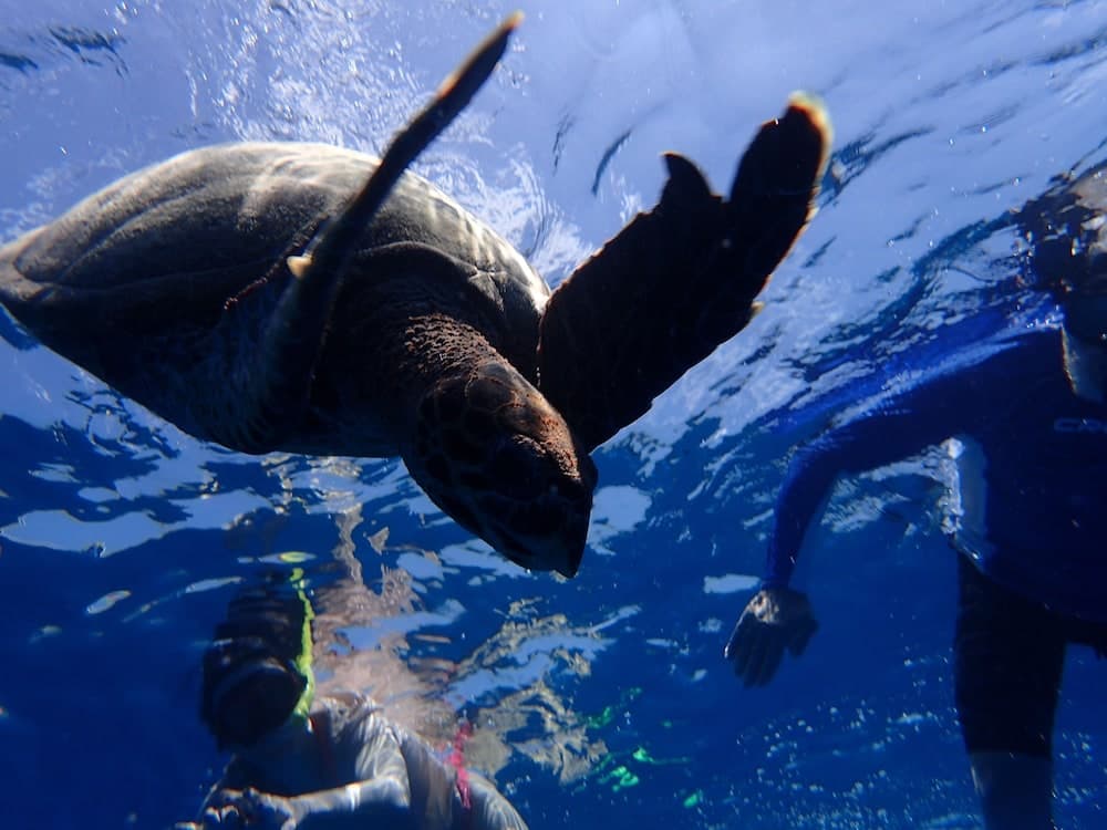 ZeeStar Inn - View 8