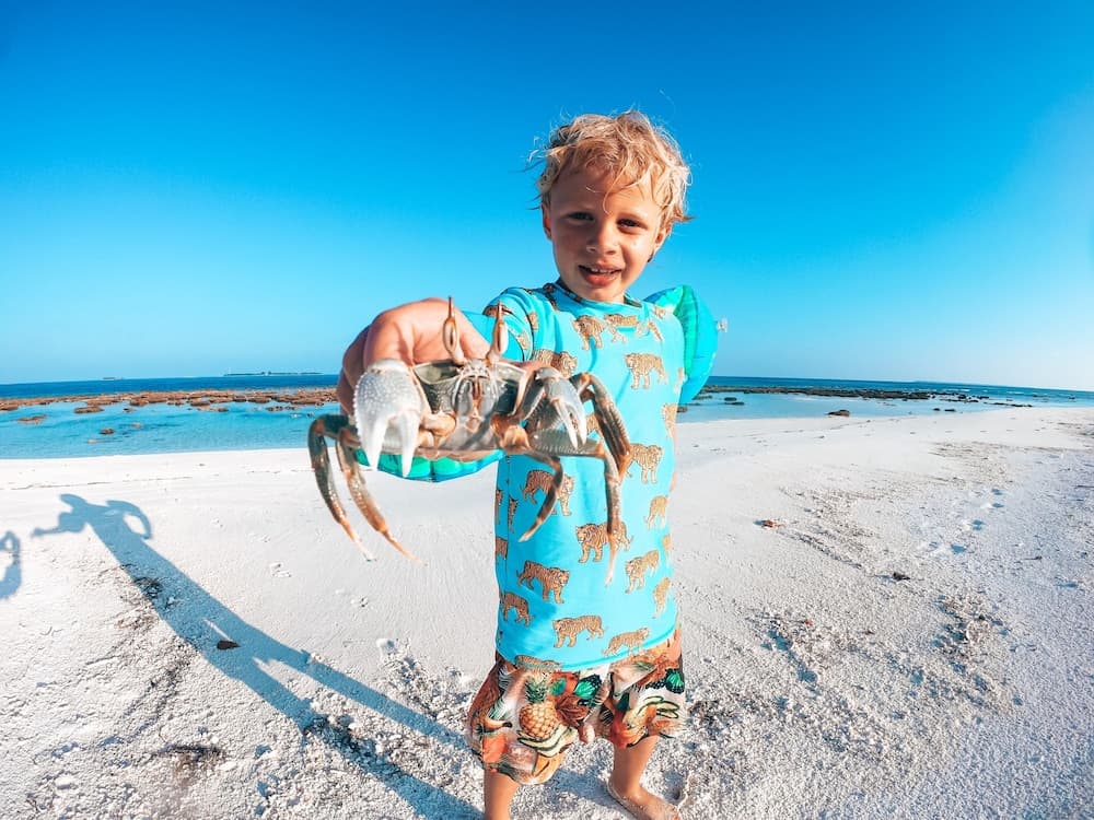 Bliss Dhigurah - View 68