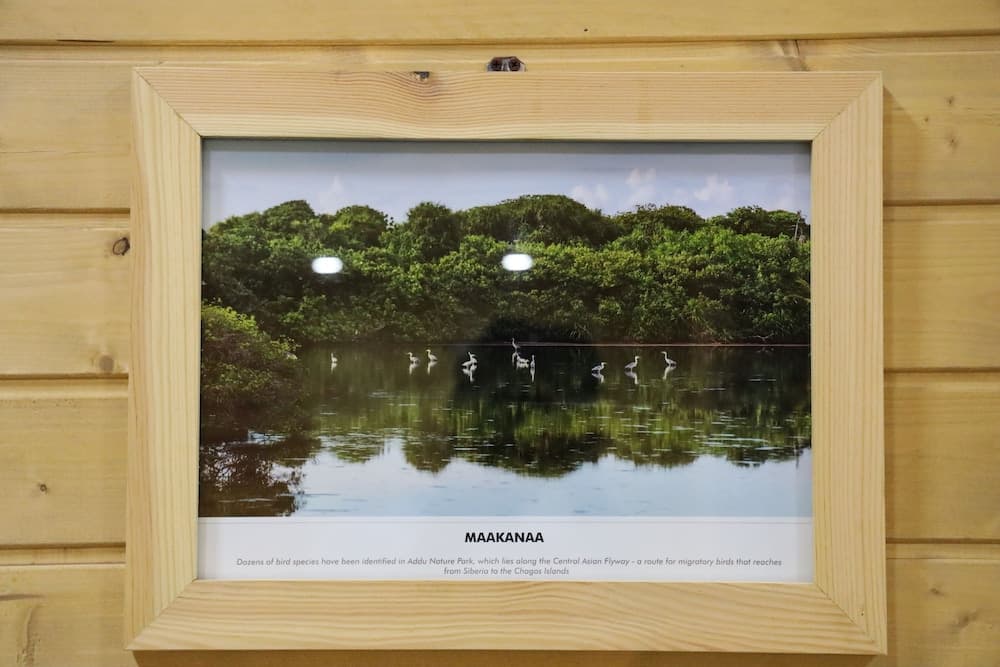 Clove Beach - View 27