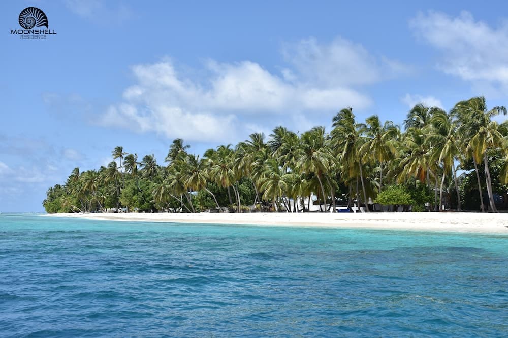 Moonshell Residence - View 19