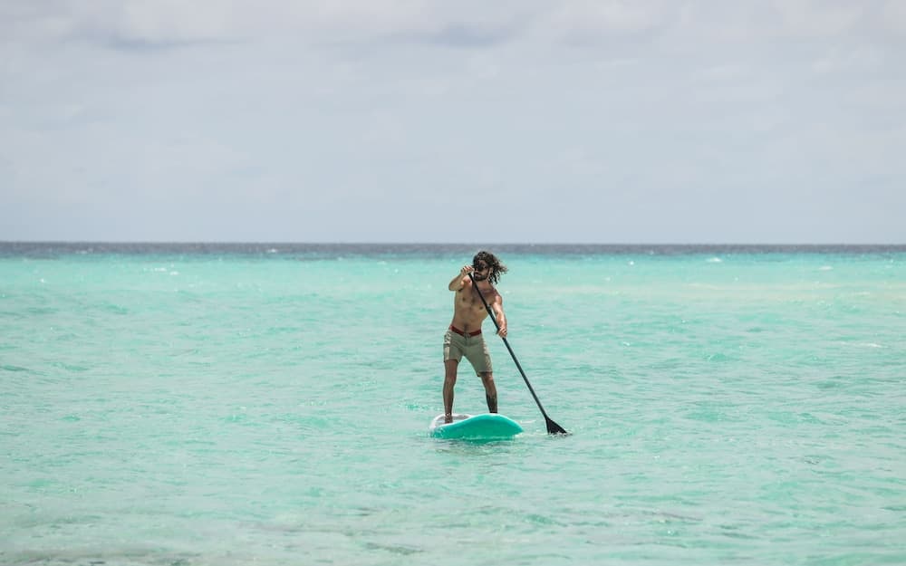 Stay Mikado - View 24