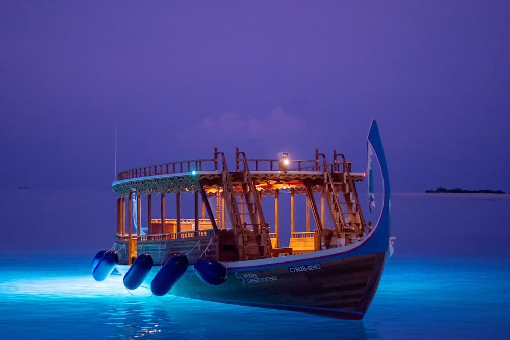 Finolhu, A Seaside Collection Resort, a Member of Design Hotels - View 153