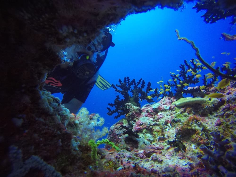 Equa Reef Maldives - View 44