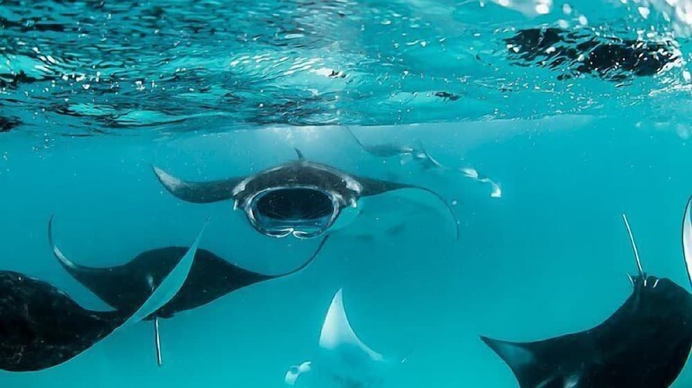 South Ari Inn - View 29