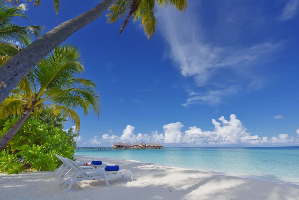 Angaga Island Resort & Spa - View 104