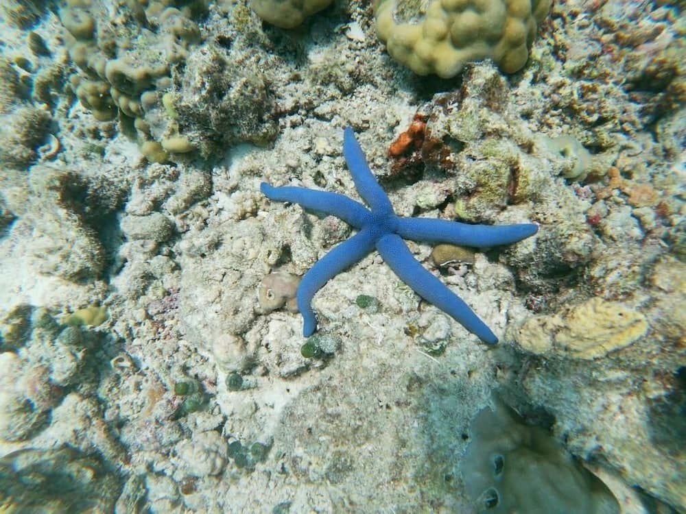 One The Island - View 18