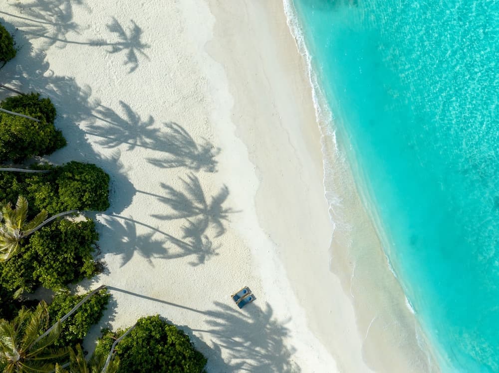 Avani+ Fares Maldives Resort - View 50