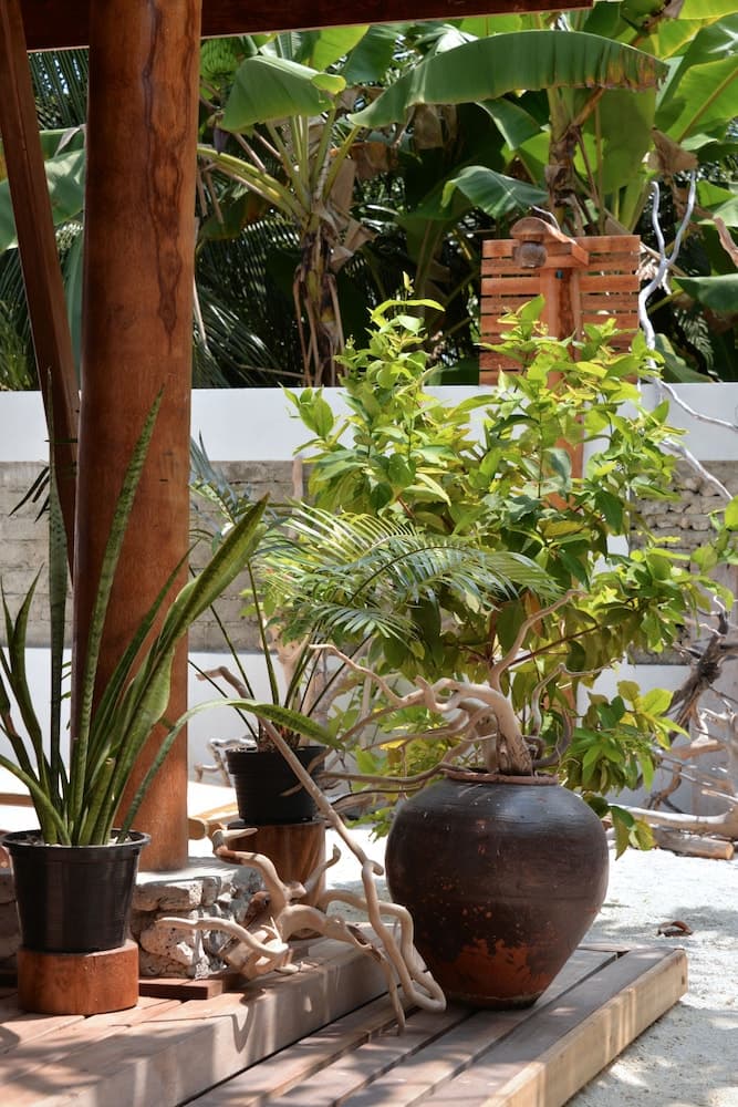 Eden BAANI Lodge - View 36
