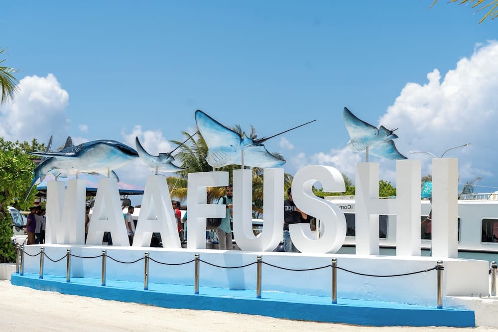SEASUNBEACH MAAFUSHI - View 38