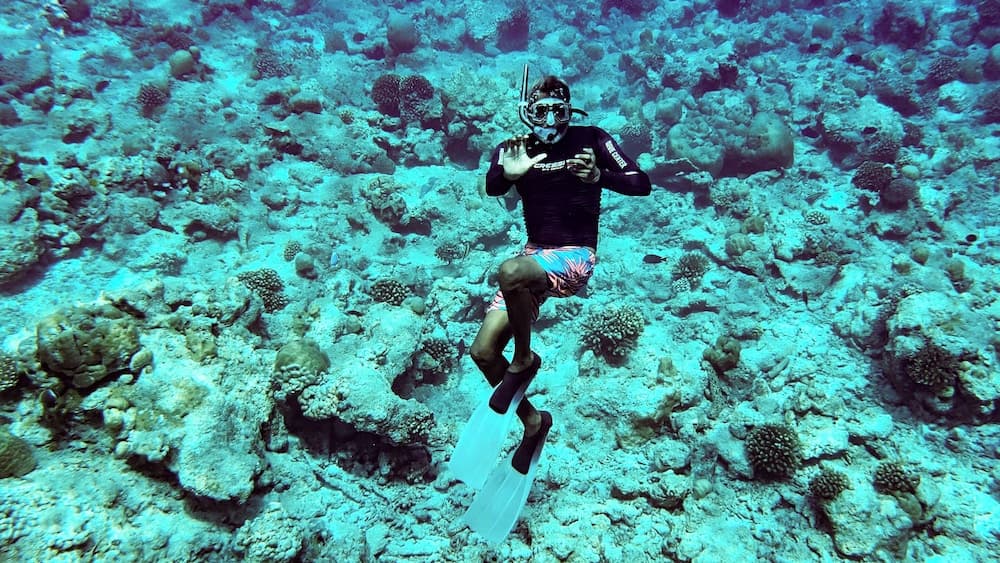 Three Hearts Guesthouse - View 55