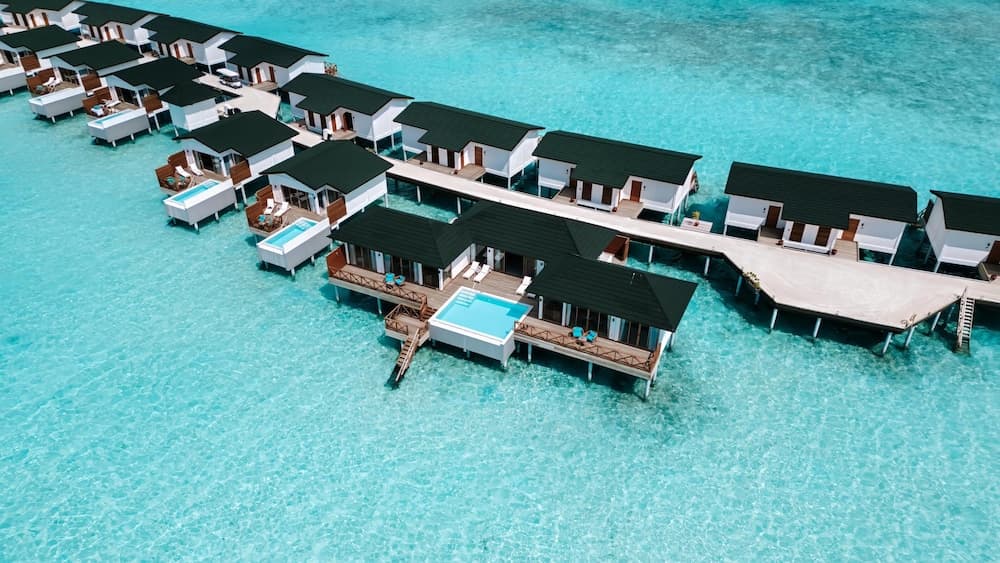 Joy Island - View 64
