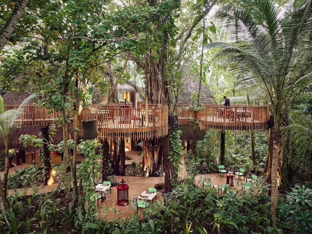 Niyama Private Islands Maldives - View 96