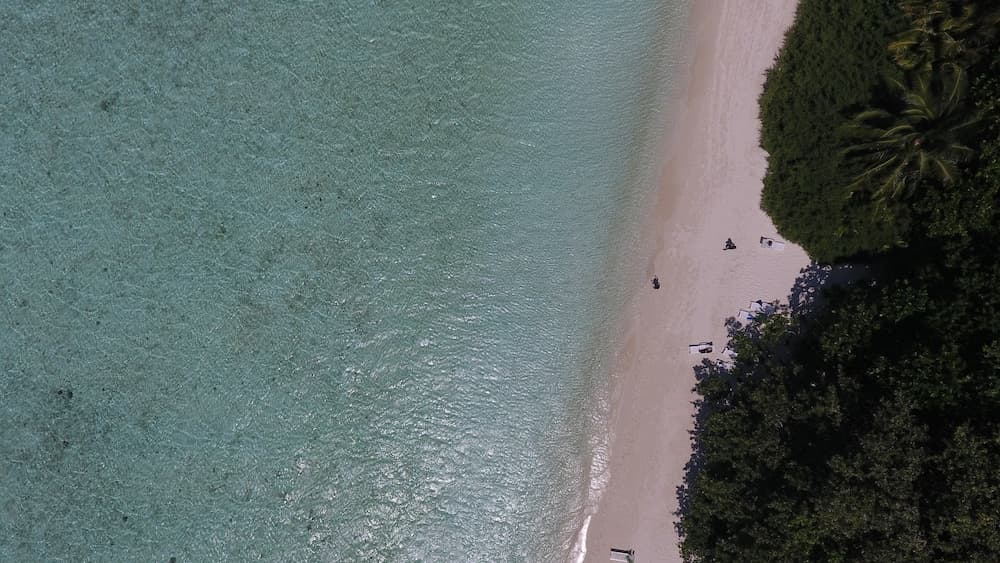 Biyadhoo Island Resort - View 56