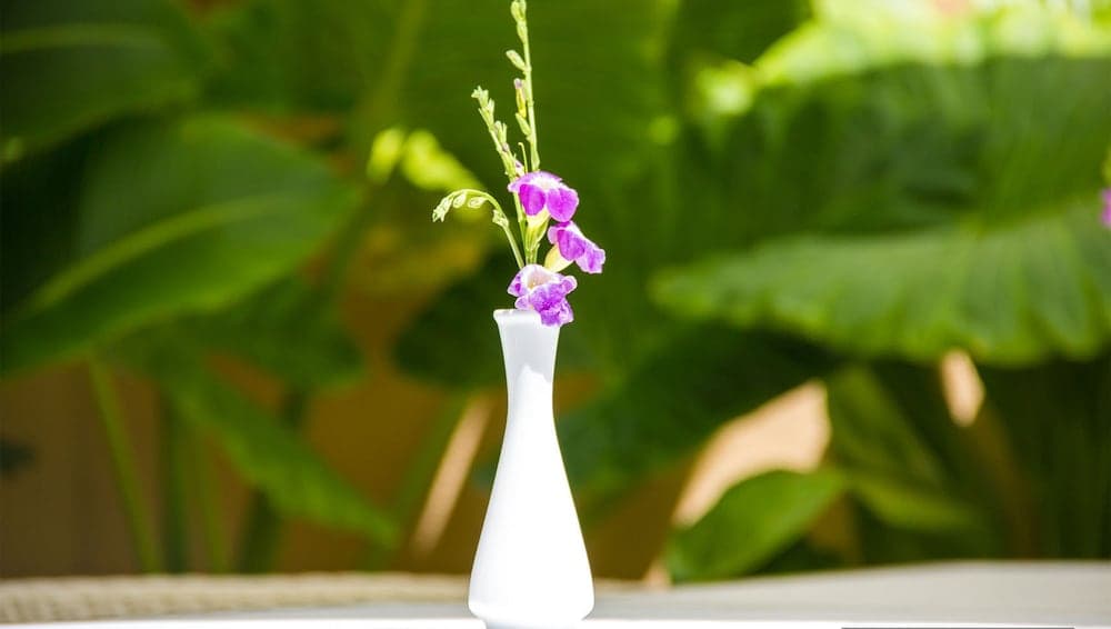 Banana Residence - View 9