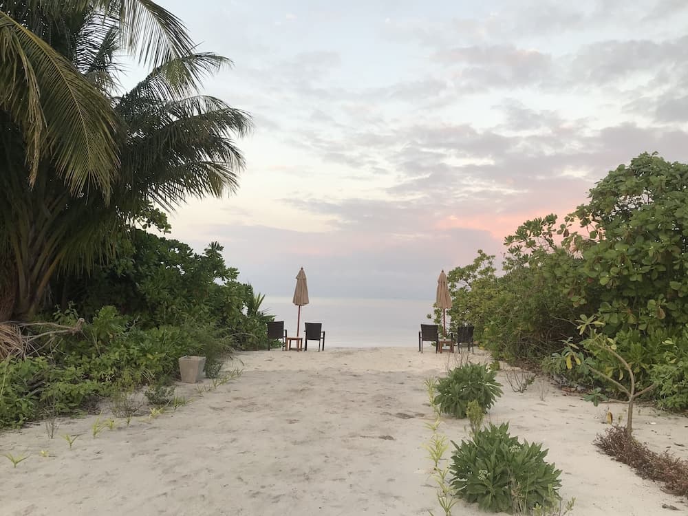 Olive Goidhoo - View 31