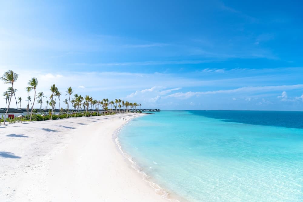 Joy Island - View 30