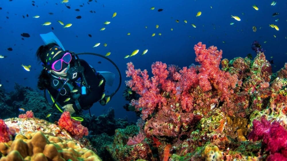 Kihaa Maldives - View 97