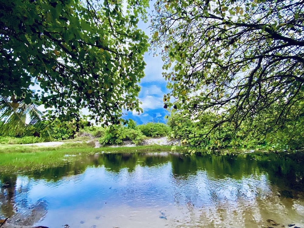 Oasis Village Fenfushi - View 15