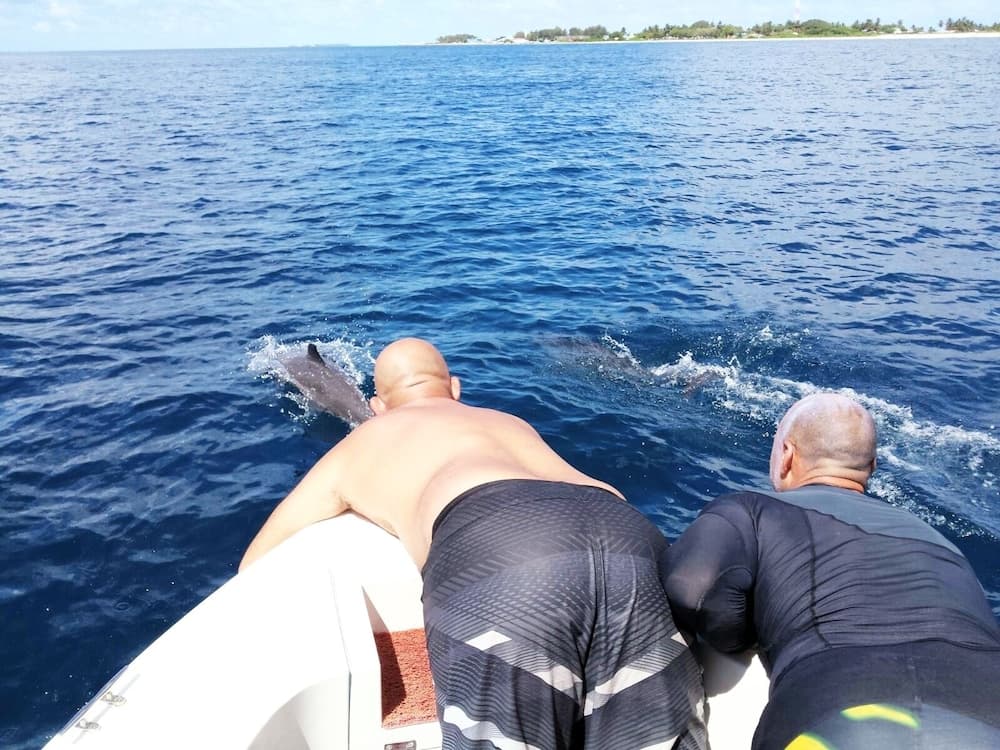 Bina Surf Camp - View 16