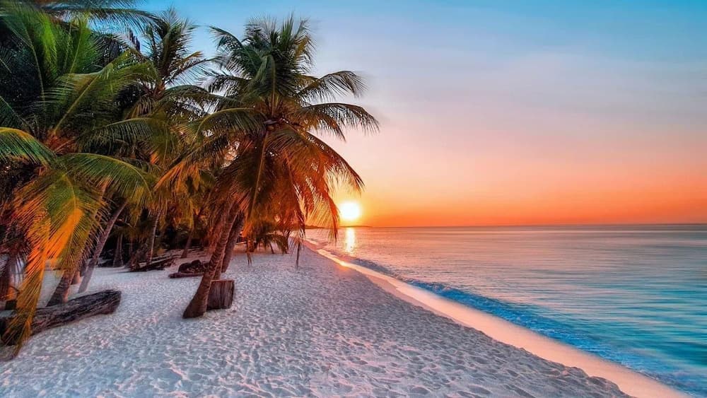 Blue Coral Vashafaru - View 42