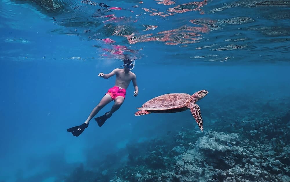 Meeru Maldives Resort Island - View 109