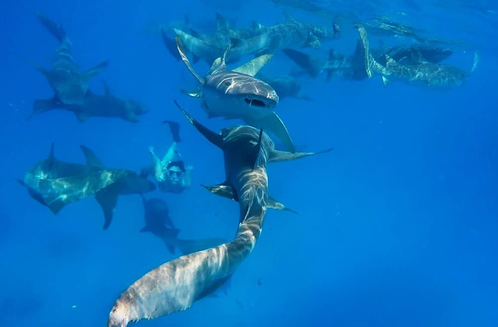 Adroit Beach Inn - View 163