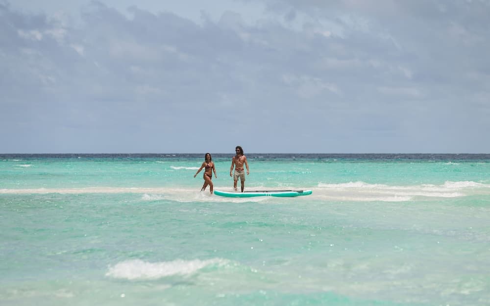 Stay Mikado - View 3