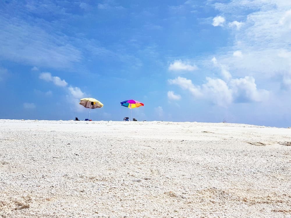 West Sands - View 64