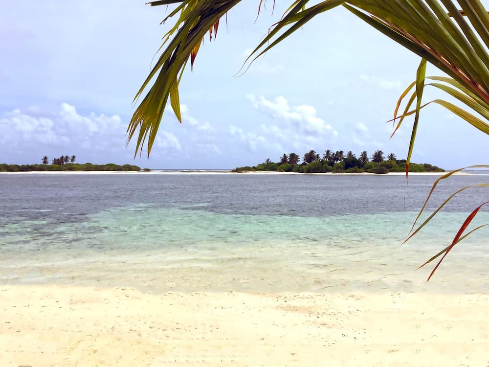 Sea Star Diving - View 22