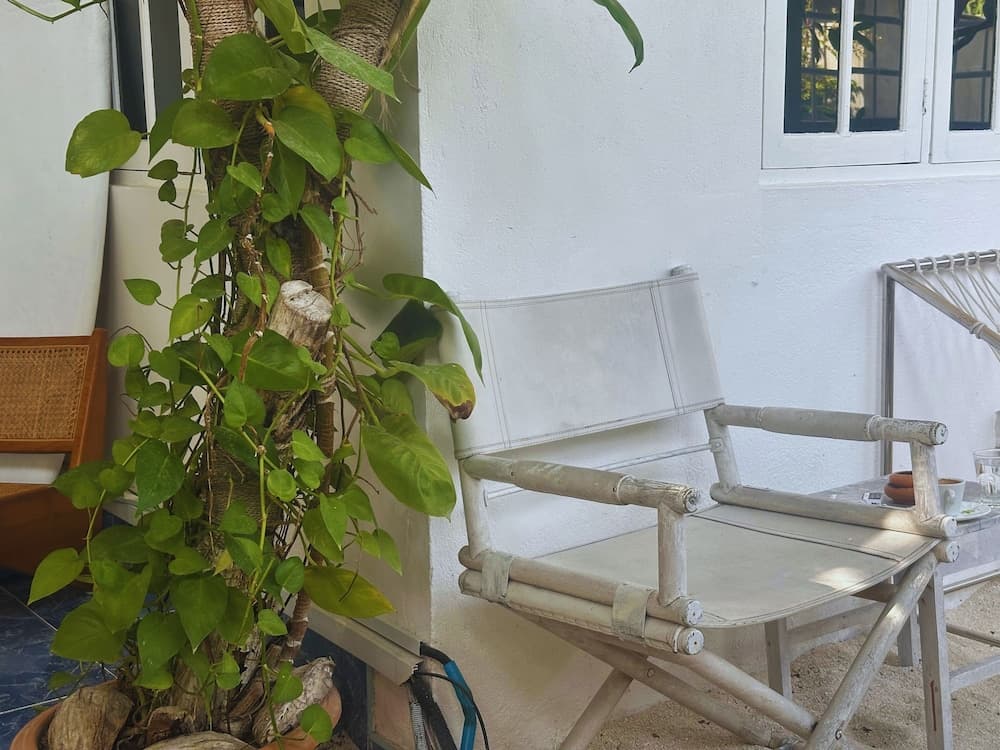 Bahaaru Villa Surf and Stay - View 4