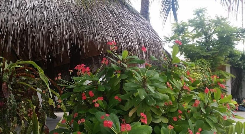 Asuruma View hotel - View 24