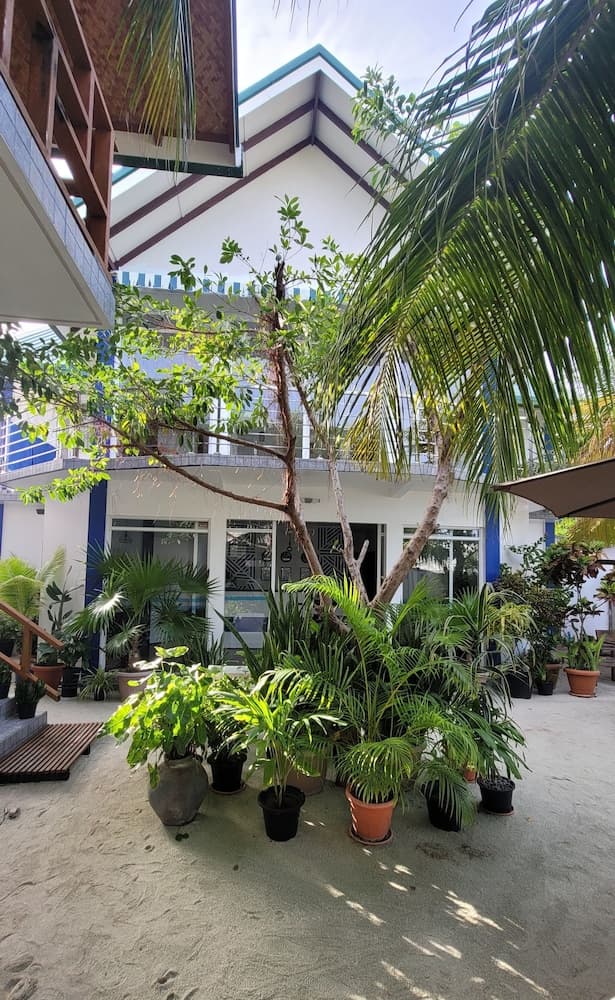 Palm Residence - View 47