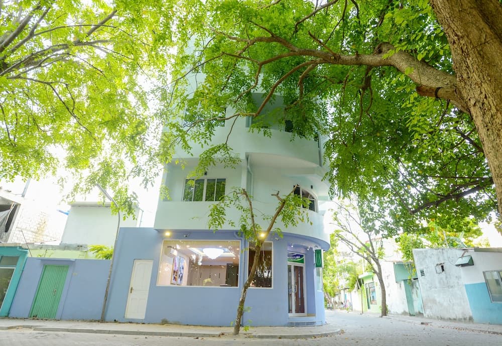 Green Flora - View 48