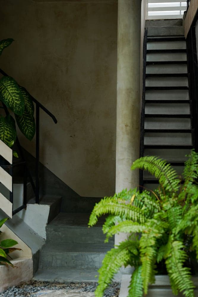 Zinnia Villa - View 56