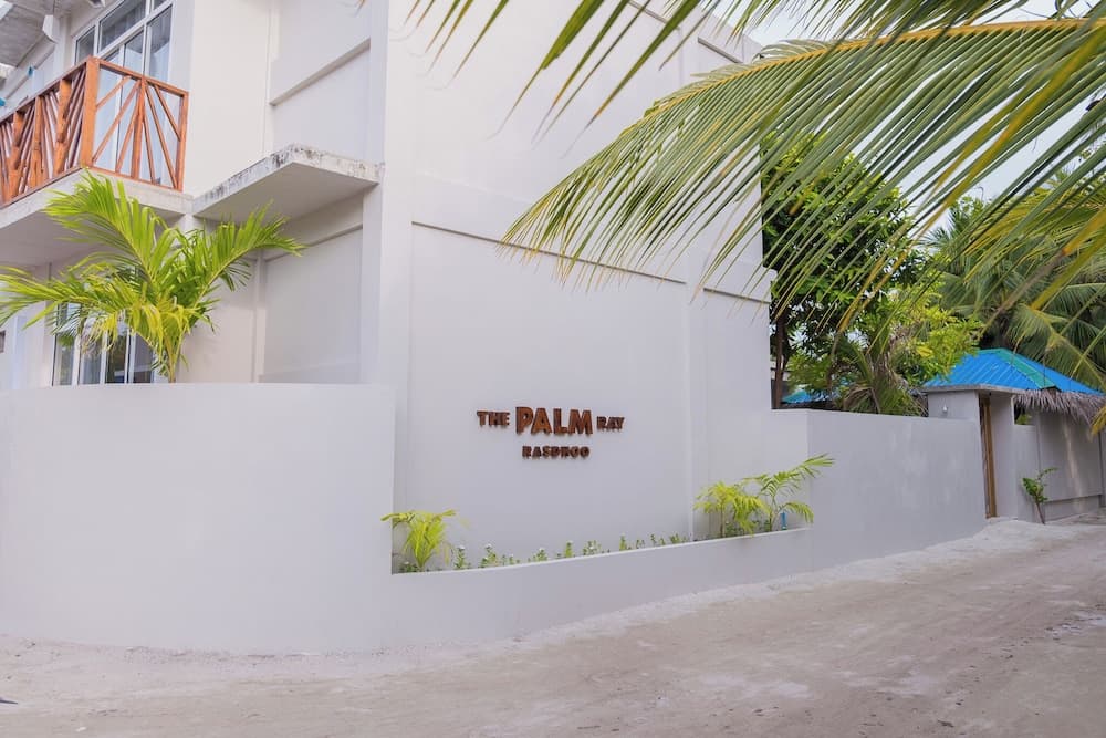 The Palm Ray - View 19