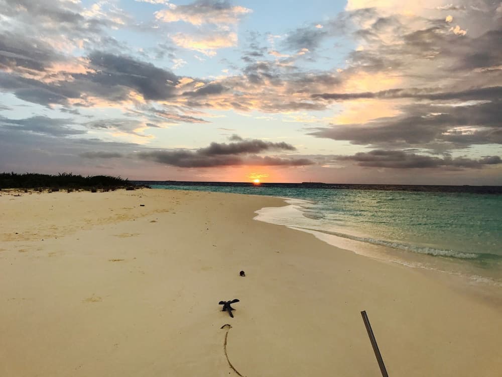 Noovilu Suites Maldives - View 29