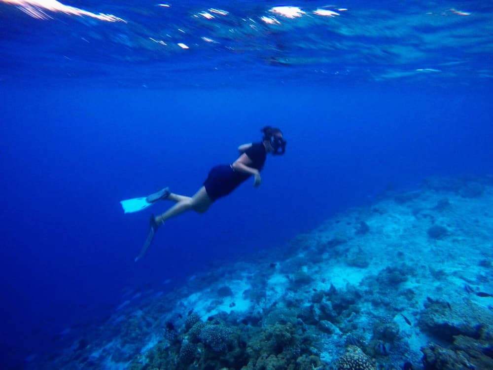 Adroit Beach Inn - View 55