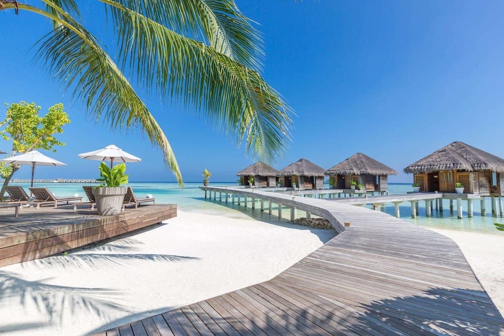 LUX* South Ari Atoll - View 195