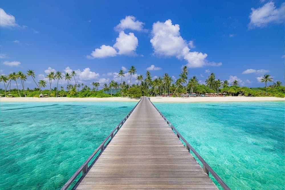 Siyam World Maldives - 24-Hour Premium All-inclusive with Free Transfer - View 48