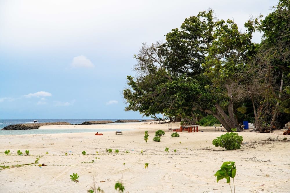 Biosphere Inn Maldives - View 75