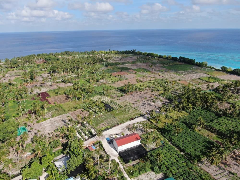 Thila Farm View Guest House - View 41