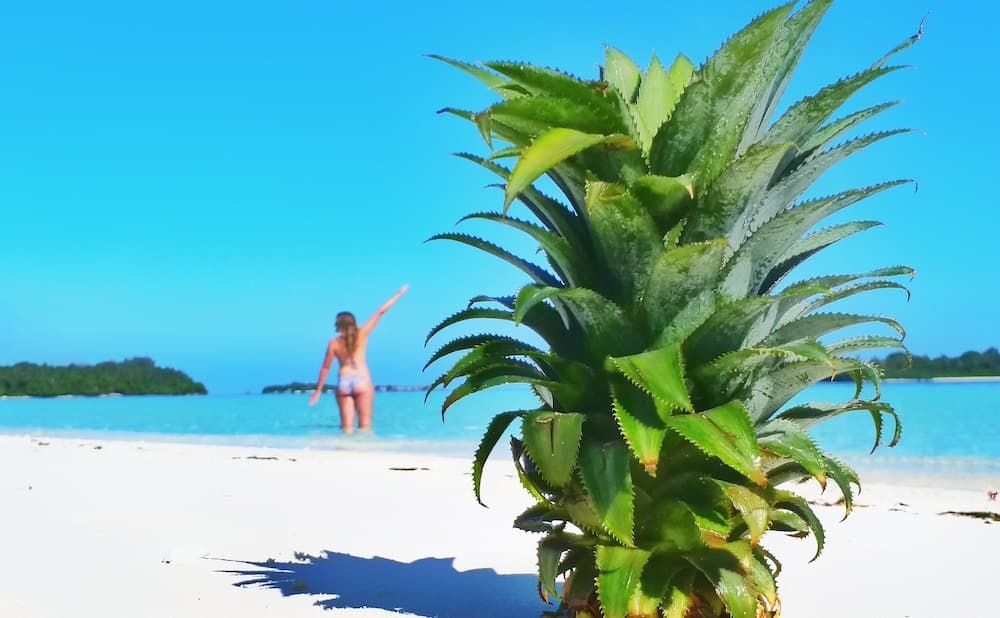 Medhufaru Inn - View 23