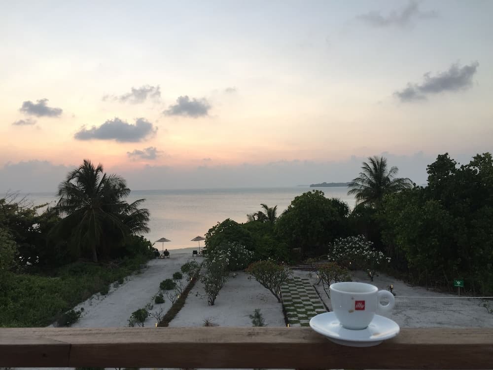 Olive Goidhoo - View 10