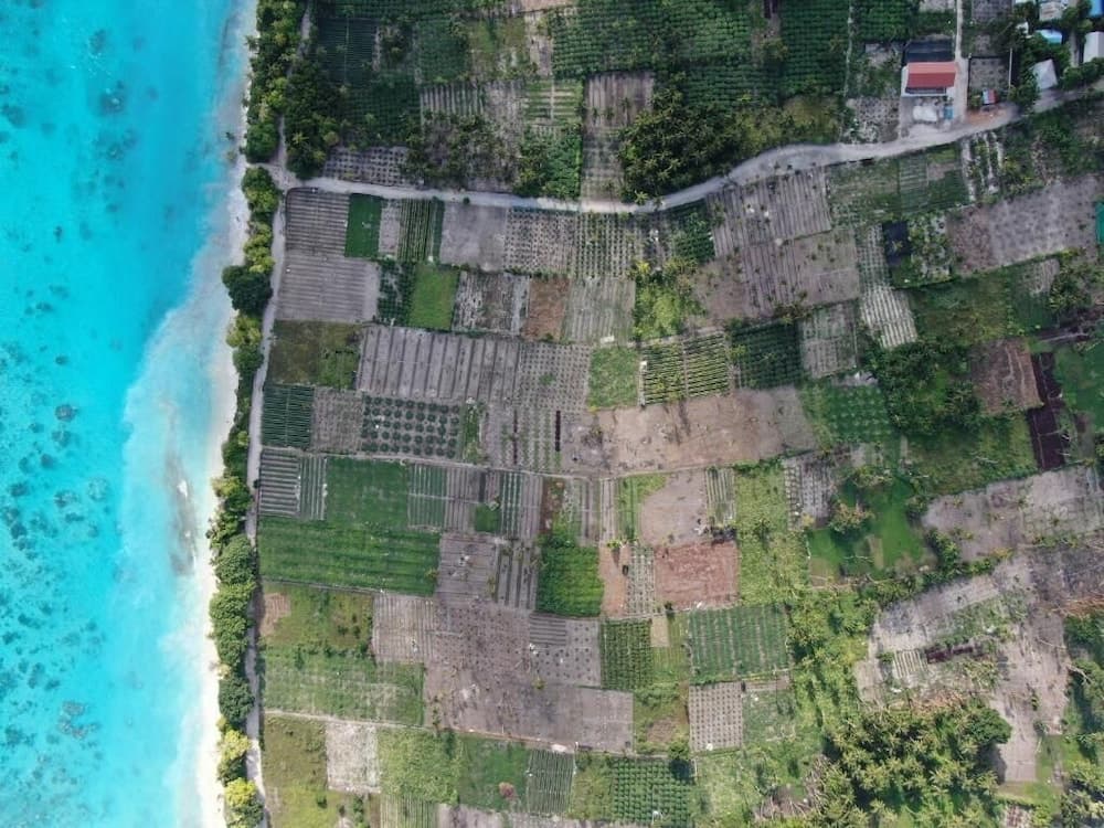 Thila Farm View Guest House - View 43