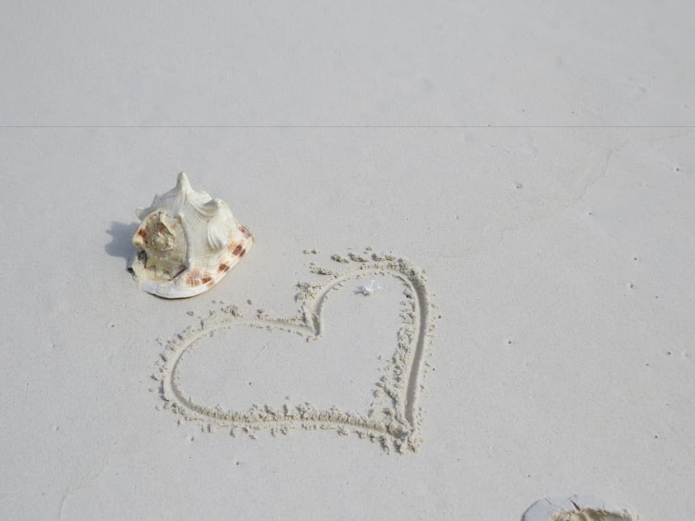 Smera Grand - View 14