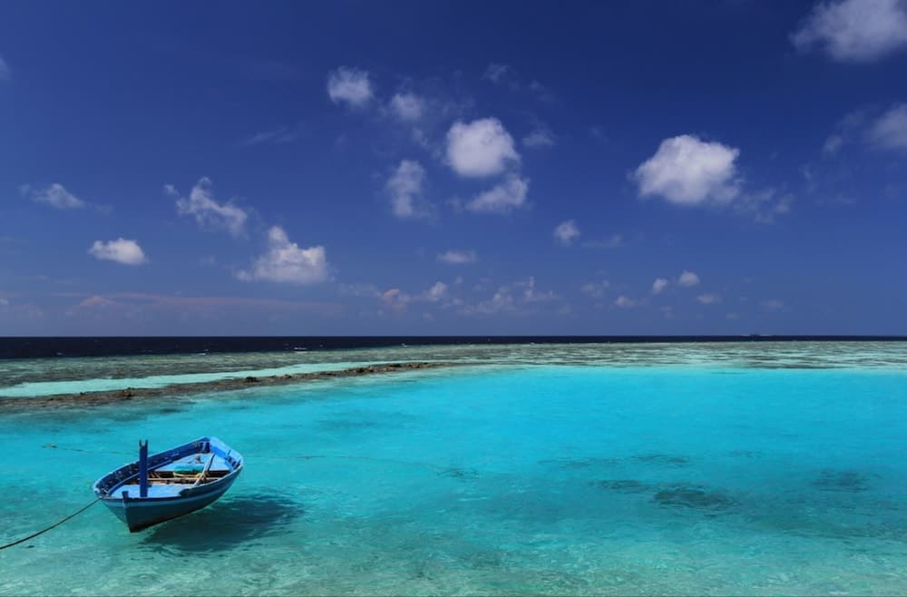 Local Island Inn - View 37